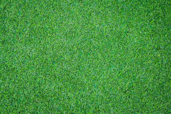 自然の緑の草の背景 — ストック写真