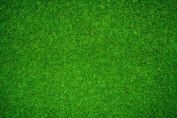 Hierba Verde Natural Puede Utilizar Como Fondo — Foto de Stock
