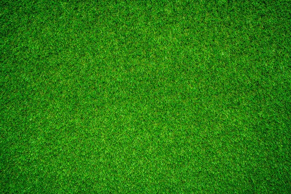 Natural Green Grass Can Use Background — Stock Photo, Image