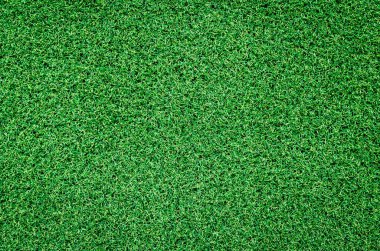 Doğal yeşil çimen arka planı
