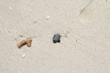 Kum dokusu arkaplanı, bej arkaplan