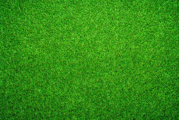 Doğal Yeşil Çimen Arka Planı — Stok fotoğraf