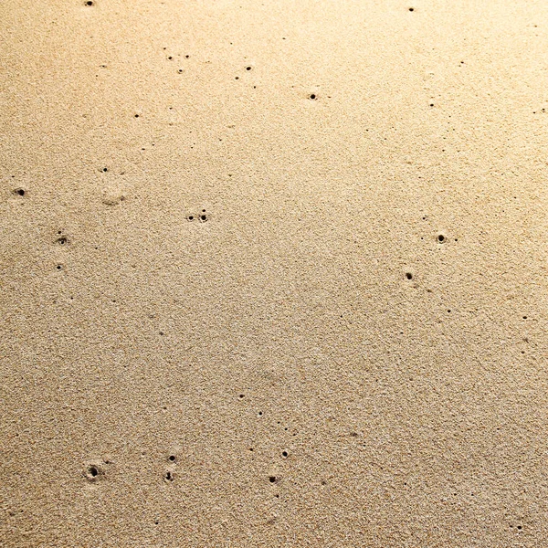 Sand Texture Background Beige Background — Stock Photo, Image