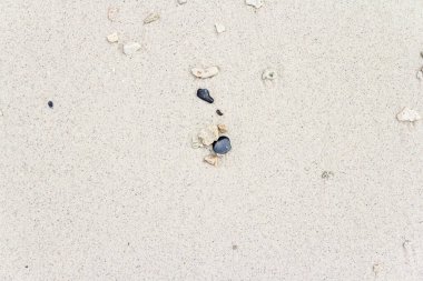 açık kum duvar dokusu arkaplanı