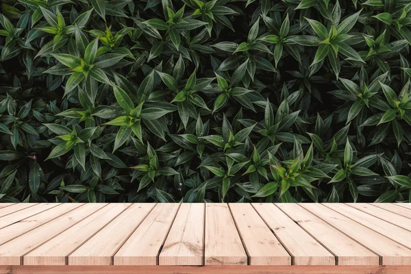 Grüne Baumblätter Und Holzdielen Boden — Stockfoto
