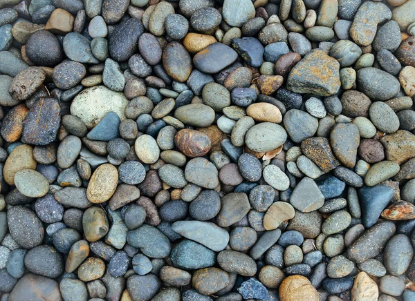 Dry Pebbles Stone Background Texture — Stock Photo, Image