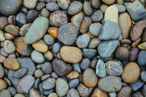 Dry Pebbles Stone Background Texture — Stock Photo, Image