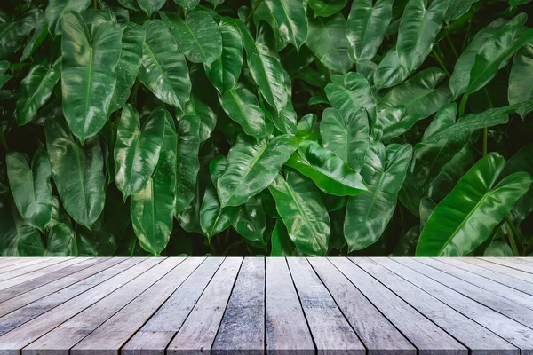緑の木の葉と木の板の床 — ストック写真