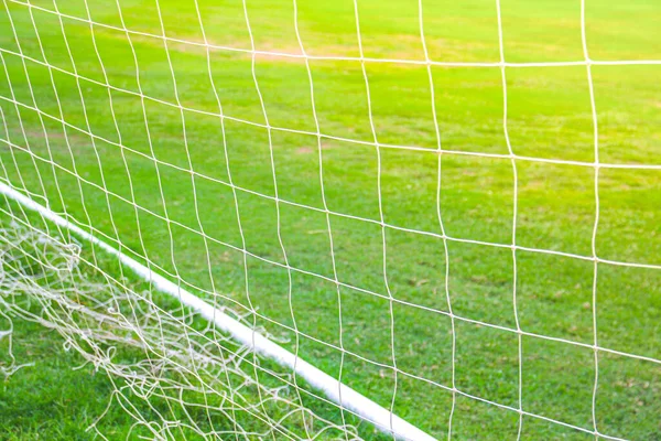 Soccer Net Fresh Green Grass Texture Background — Stock Photo, Image