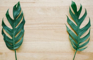 Ahşap doku arka plan ve yeşil çiçek yaprakları 