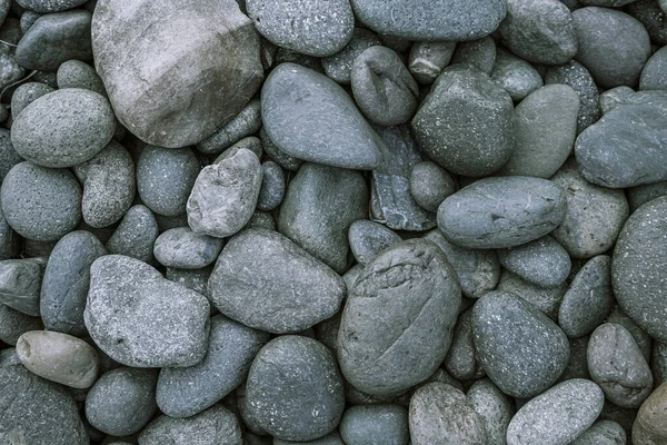 Seixos Secos Pedra Fundo Textura — Fotografia de Stock