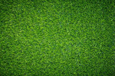 Canlı yeşil çimen dokusu arkaplanı