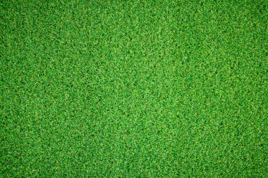 Canlı yeşil çimen dokusu arkaplanı