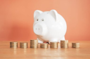 Kumbarada para biriktiriyorum.