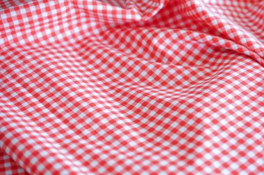 Kırmızı ve beyaz kareli kumaş gösteriliyor