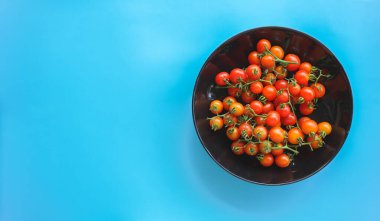 Kasede kiraz domatesleri düzenleniyor.