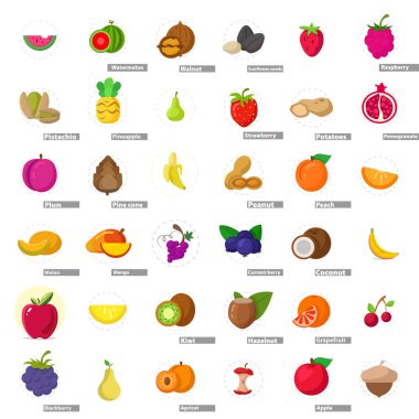 karpuz, karpuz, elma, şeftali, üzüm, hindistan cevizi, portakal, kivi, mango...