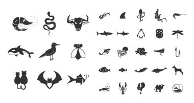 Hayvanlar simgesi seti. Kuşlar ve deniz hayvanlarıyla