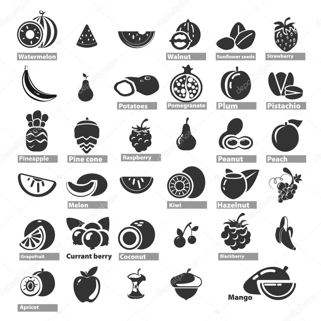 fruit icon set with watermelon, melon, apple, peach, grapes, coconut, orange, kiwi, mango