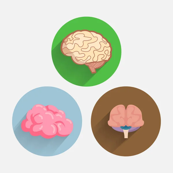 Icône Plate Cerveau Sertie Ombre Longue Cerveau Humain — Image vectorielle