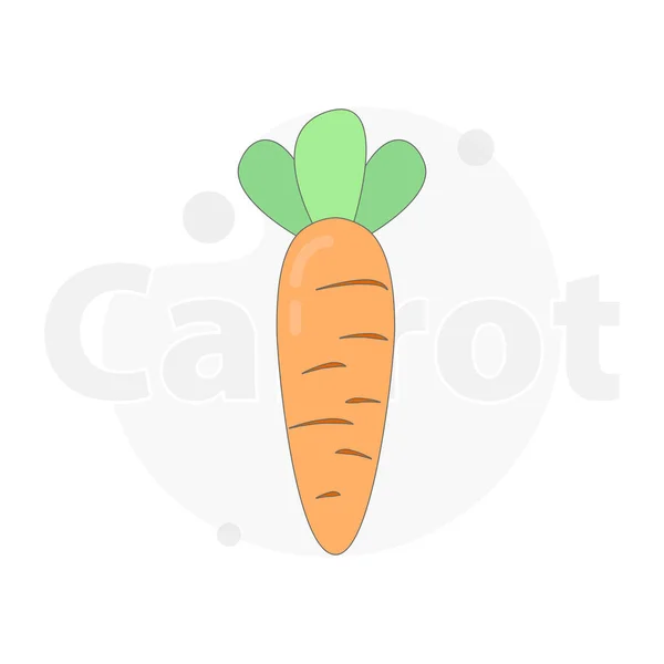 Carrot Yummy Isolated Vector Flat Illustration — Stock Vector