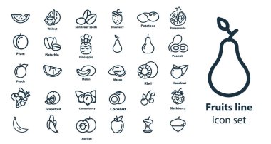 meyve çizgisi simgesi seti, karpuz, karpuz, elma, şeftali, üzüm, hindistan cevizi, portakal, kivi, mango
