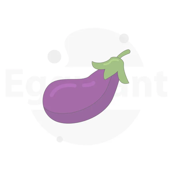 茄子隔离向量平面插图 — 图库矢量图片