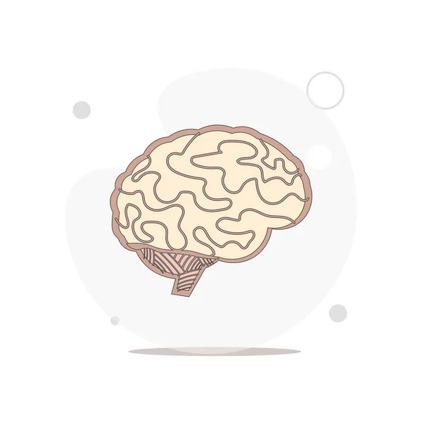 Векторная Плоская Иллюстрация Мозга Белом — стоковый вектор