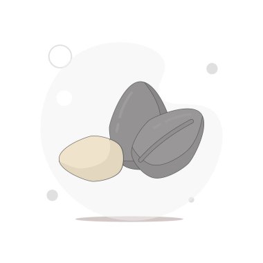 Olgun ayçiçeği tohumu vektörü beyazı üzerine düz çizim