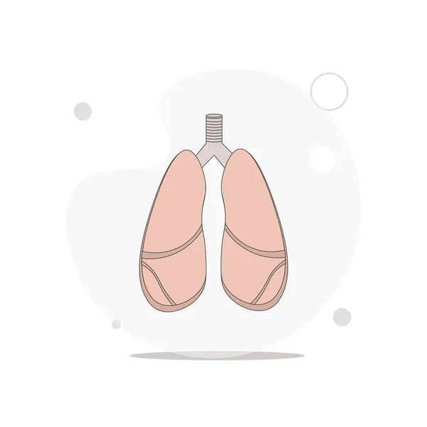 白皮肤上的肺病媒平面图解 — 图库矢量图片