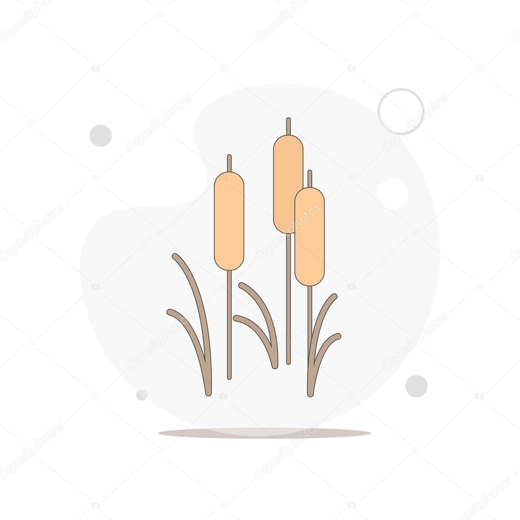 reed vector flat illustration on white