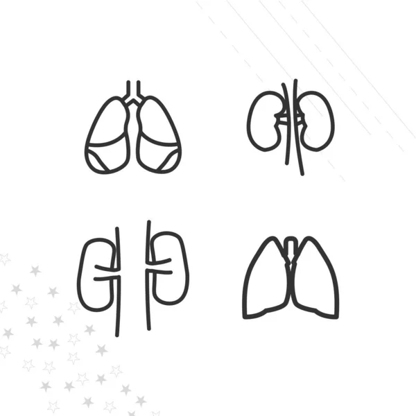 Lungen Und Nieren Innere Organe Liniensymbole Gesetzt — Stockvektor