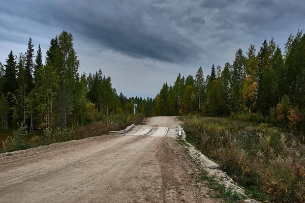 Лісова Брудна Дорога Пустелі Вздовж Річки Високоякісна Фотографія — стокове фото