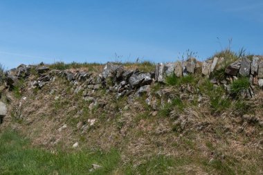 Duvarın dışında büyüyen çimlerin görüntüsü