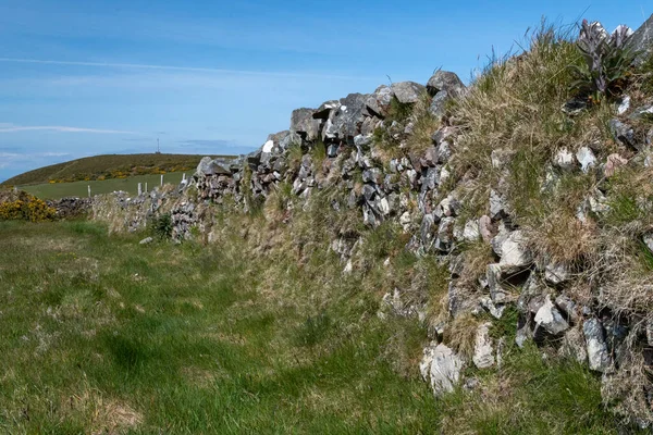 Blick Auf Gras Das Aus Einer Trockenmauer Wächst — Stockfoto