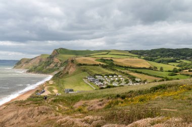 Dorset 'teki Jurassic sahilindeki Thorncombe Beacon' ın manzara fotoğrafı.