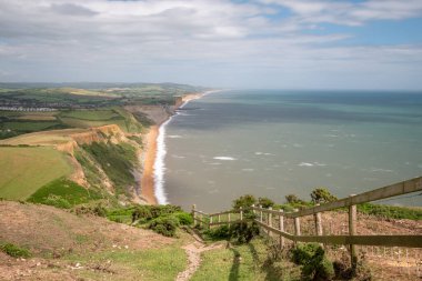 Dorset 'teki Jurassic sahilindeki Thorncombe Beacon' ın zirvesinden görüntü