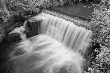 Dorset 'teki Lyme Regis' te Lim nehrinde uzun süre bir şelale görüldü.