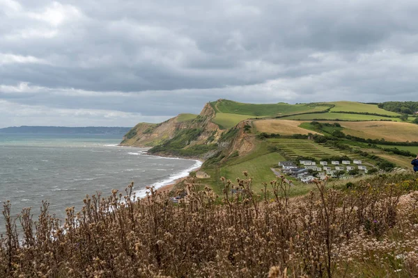 Dorset Teki Jurassic Sahilindeki Thorncombe Beacon Manzara Fotoğrafı — Stok fotoğraf