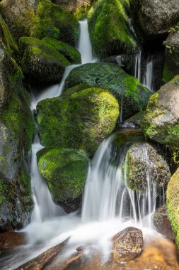Dartmoor Ulusal Parkı 'ndaki Becky Şelalesi' nde uzun süre bir şelale görüldü.