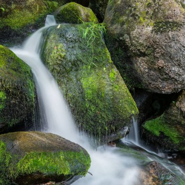 Dartmoor Ulusal Parkı 'ndaki Becky Şelalesi' nde uzun süre bir şelale görüldü.
