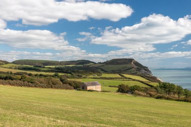 Dorset 'teki Jurassic Sahili' ndeki Altın Cap dağının manzara fotoğrafı.