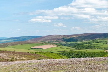 Somerset 'teki Dunkery Hill' in Porlock Tepesi 'nin tepesinden görüntü