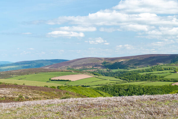 Вид с вершины холма Порлок в городке Сомерсет