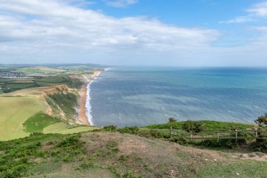 Dorset 'teki Jurassic sahilindeki Thorncombe Beacon' ın zirvesinden görüntü
