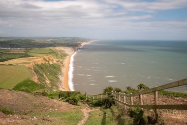 Dorset 'teki Jurassic sahilindeki Thorncombe Beacon' ın zirvesinden görüntü