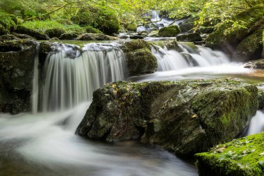 Exmoor Ulusal Parkı 'ndaki Watersmeet' te Hoar Oak Nehri 'nde uzun süre bir şelale görüldü.