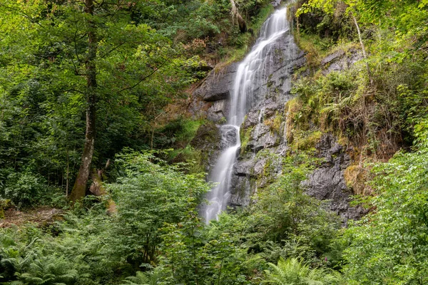 Devon 'da Canonteign' daki büyük şelalenin uzun görüntüsü