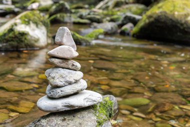 Ormandaki nehir kıyısındaki taş yığınlarını kapatın.