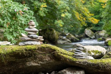 Ormandaki bir kütüğün üzerindeki taş yığınlarını kapat.